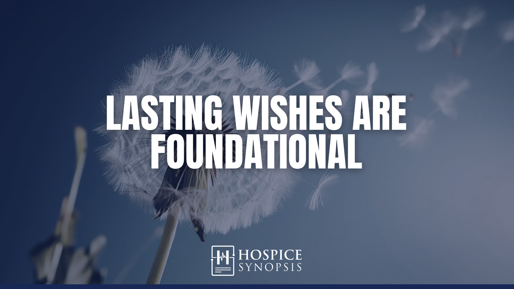White dandelion seeds drift across a blue background, symbolizing wishes and legacy.